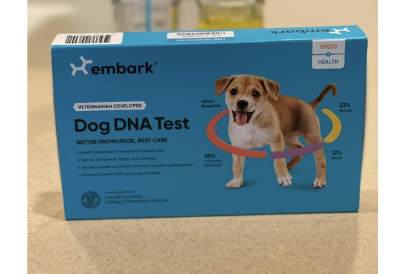 Unlocking the Secrets of Your Canine Companion with Embark Dog DNA Test! 🐕‍🦺
