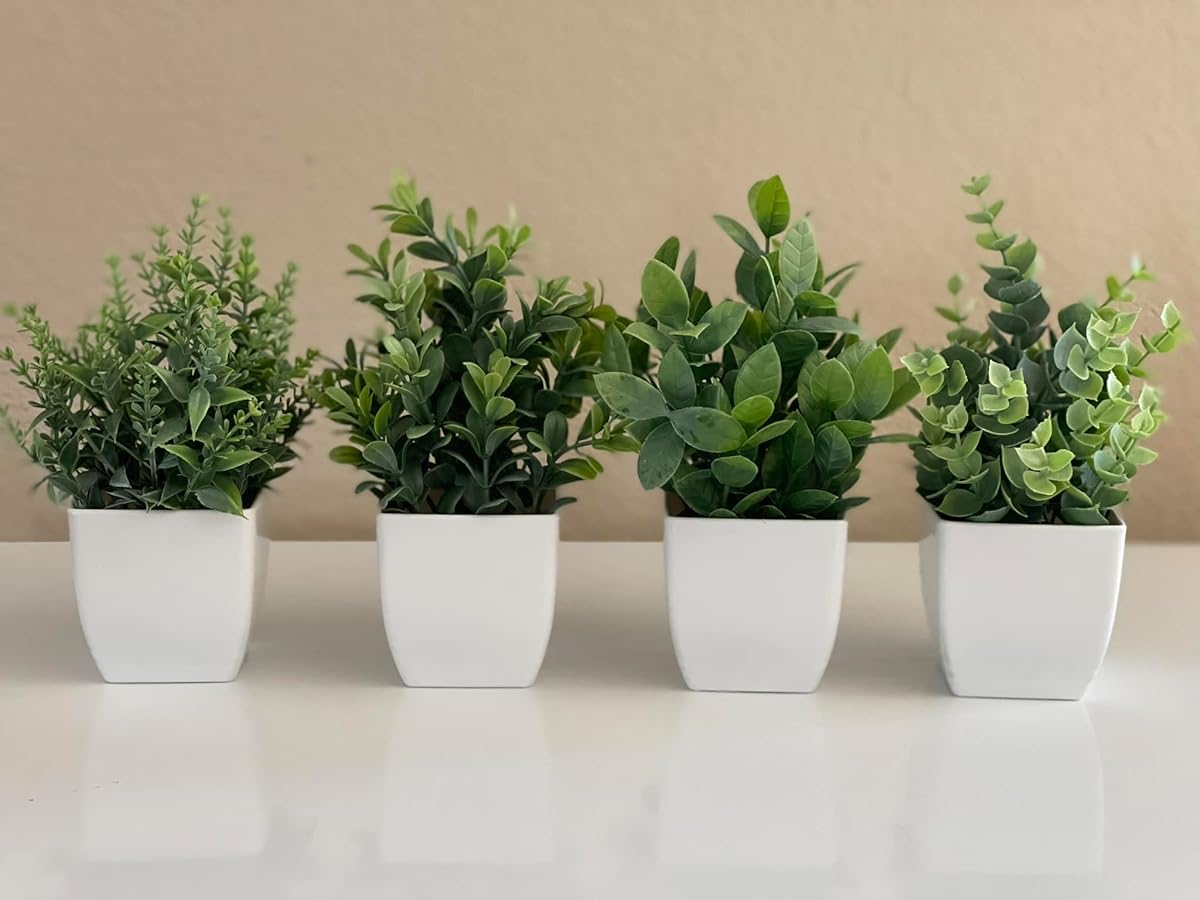 🌿 Spruce Up Your Space with Der Rose's Mini Fake Plants! 🏡